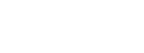 Business Technology Integrators